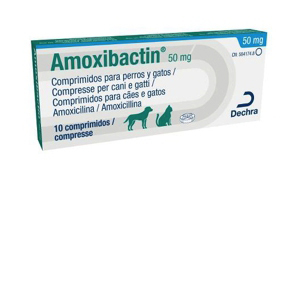 AMOXIBACTIN 50 10cp