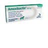 AMOXIBACTIN 250 10cp