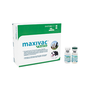 MAXIVAC HEPTA 10 dosis