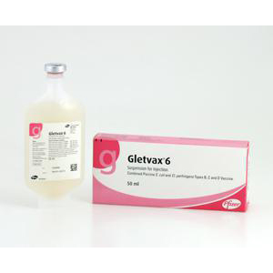 <p>GLETVAX 6 10 DOSIS 50ml</p>