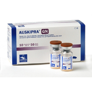 AUSKIPRA-GN 50 dosis + dil