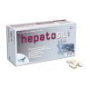 <p>HEPATOSIL PLUS 125/15- 60cp</p>