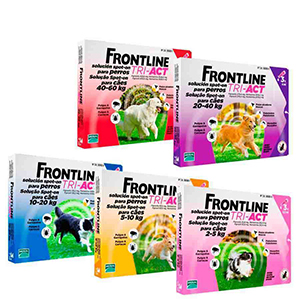 <p>FRONTLINE TRI ACT PARA PERRO DE 10-20kg 3 PIPETAS</p>