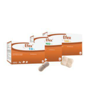 EFEX PERRO 10 mg 120cp