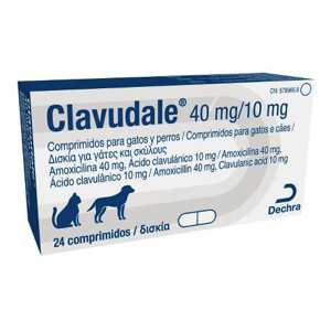<p>CLAVUDALE 40mg/10mg  24 COMPRIMIDOS</p>