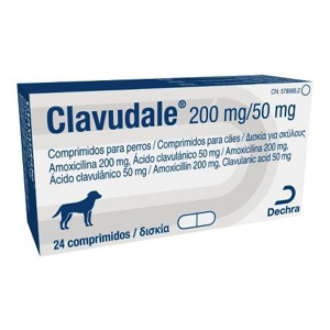 <p>CLAVUDALE 200mg/50mg 24 COMPRIMIDOS</p>