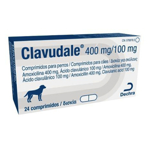 <p>CLAVUDALE 400mg/100mg 24 COMPRIMIDOS</p>