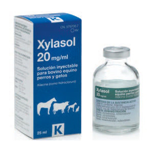 <p>XYLASOL 20mg/ml  25ml</p>