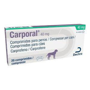 <p>CARPORAL 40mg 20 COMPRIMIDOS</p>